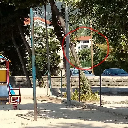 Tomas *